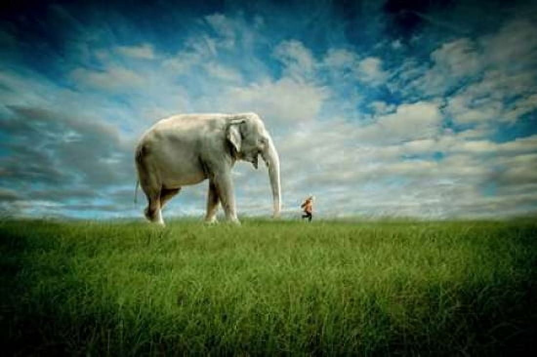 Elephant Follow Me Canvas Art - Jeff Madison (24 x 36)
