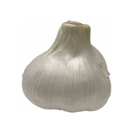 Elephant Garlic (Ajo Elefante) Sorted Bulbs! Great for Fall Planting! 5 Lb
