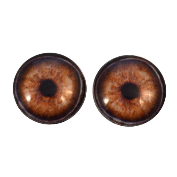 Elephant Glass Eyes