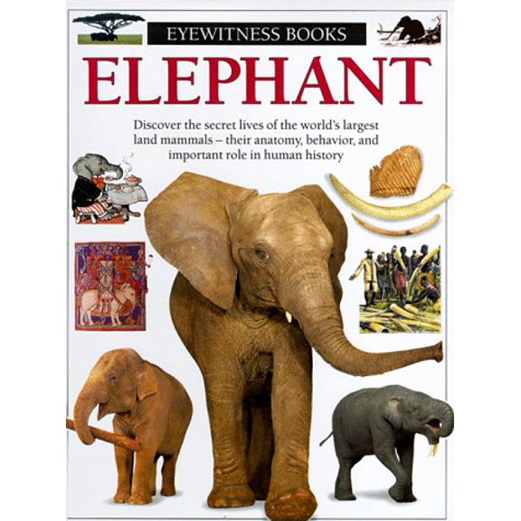 Pre-Owned Elephant (Hardcover) 0679838805 9780679838807