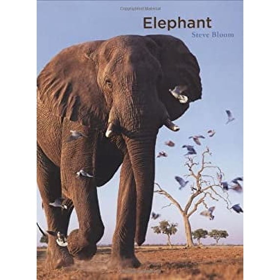 Pre-Owned Elephant (Hardcover) 0811857271 9780811857277