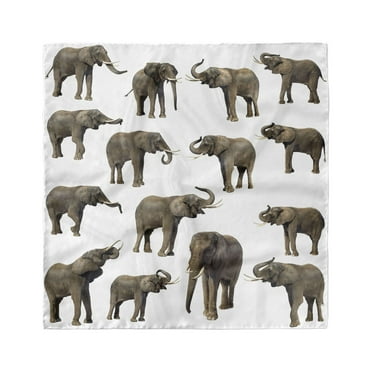 Elephant Head Scarf, Elephants Tusk Ear, Head Wrap, 3 Sizes, by Ambesonne