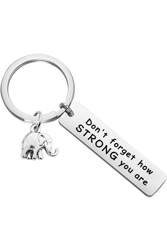 Elephant Keychain Never Forget How Strong You Are Strength Jewelry Uplifting Gift For Friend Family Animal Lovers