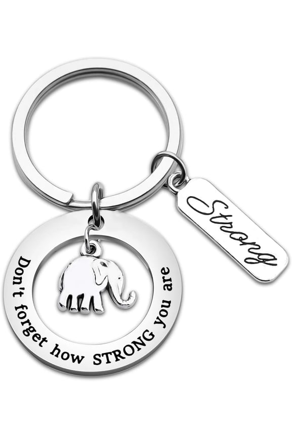 Elephant Keychain Never Forget How Strong You Are Strength Jewelry Uplifting Gift For Friend Family Animal Lovers