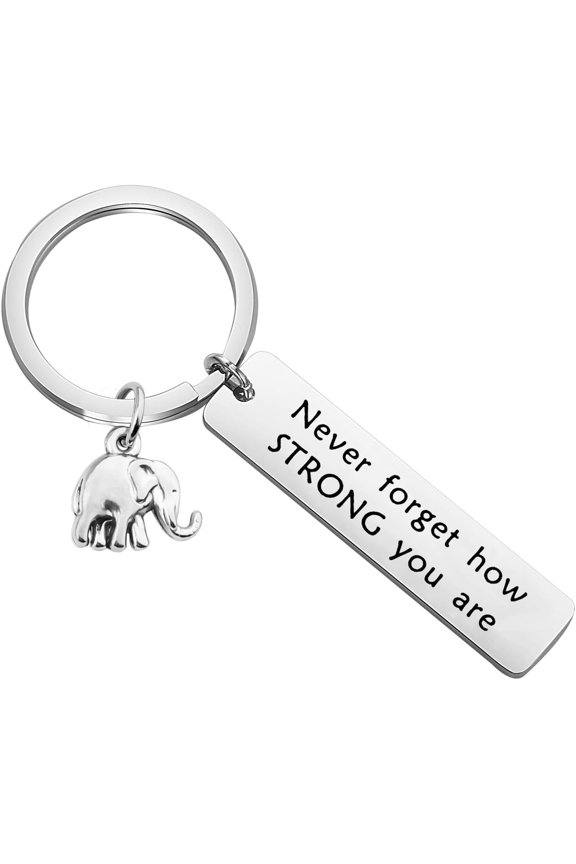 Elephant Keychain Never Forget How Strong You Are Strength Jewelry Uplifting Gift For Friend Family Animal Lovers