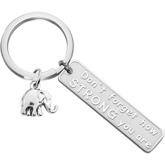 Elephant Keychain Never Forget How Strong You Are Strength Jewelry Uplifting Gift For Friend Family Animal Lovers