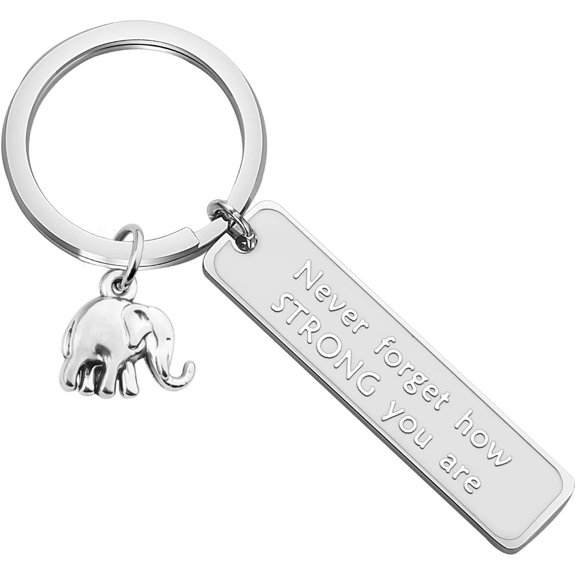 Elephant Keychain Never Forget How Strong You Are Strength Jewelry Uplifting Gift For Friend Family Animal Lovers