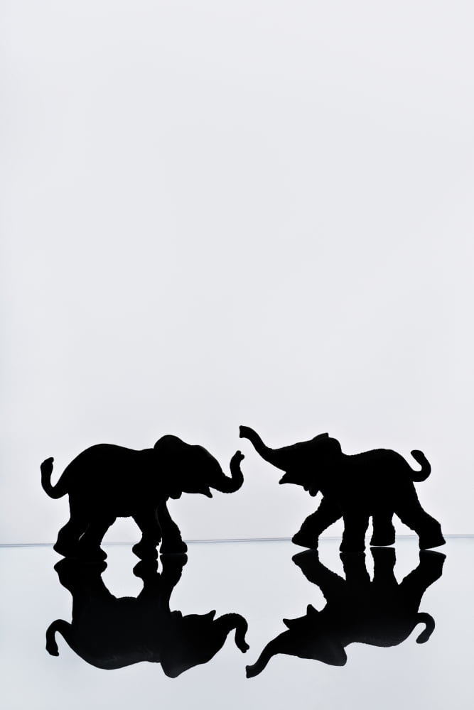Elephant Pair Reflection Canvas Art - Chris and Kate Knorr Design Pics (12 x 18)