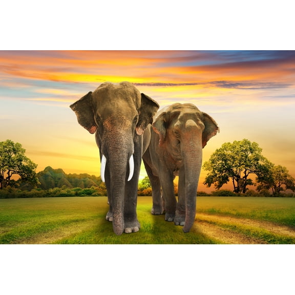 Elephant Pair Sunset Africa Wall Sticker Decal Majestic Wildlife Art for Home Dcor 20x30 Inches