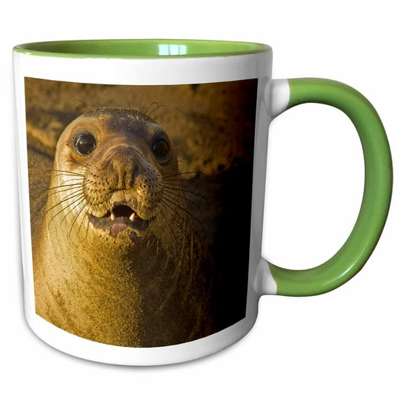 3drose, Elephant Seal Rookery, San Simeon, California - Us05 Cha0136 - Chuck Haney, 11oz Two-tone Green Mug