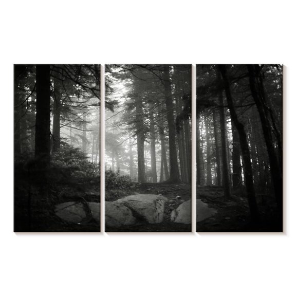 Elephant Stock Acadia National Park Forest Wall Art - Horizontal Multi Panel Canvas - Living Room Wall Decor - Floral And Botanical Multi Panel - Gray And Black Decor - 33" x 20"