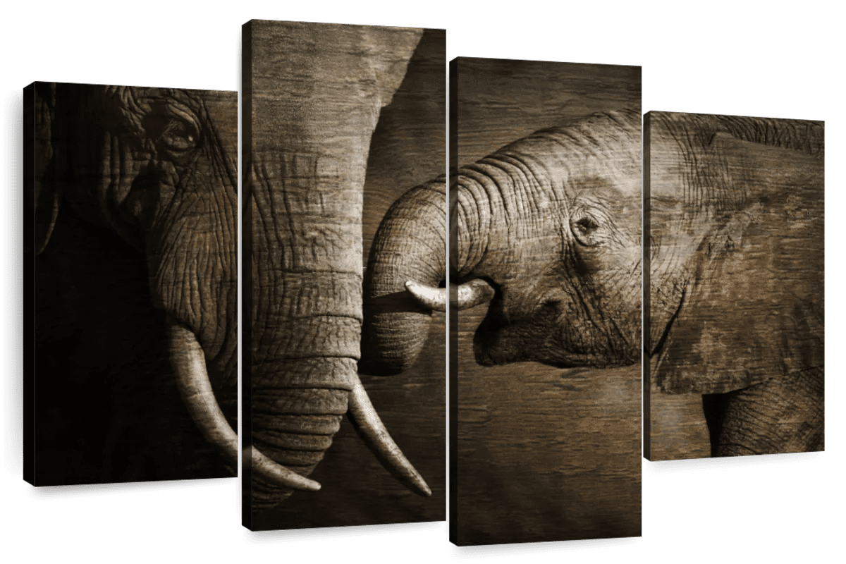 Elephant Stock Affectionate Elephants Wall Art - Horizontal Multi Panel ...