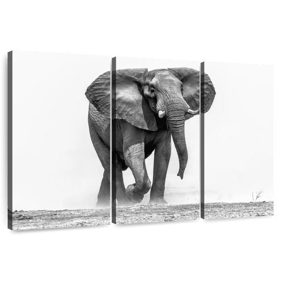 Elephant Stock African Elephant Walking Wall Art - Horizontal Multi Panel Canvas - Living Room Wall Decor - Animal Multi Panel - Gray And White Decor - 33" x 20"
