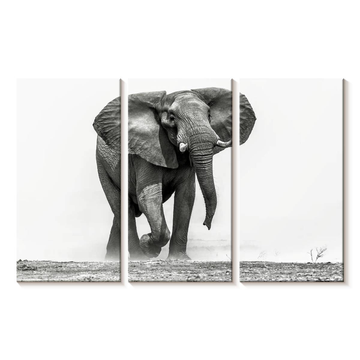 Elephant Stock African Elephant Walking Wall Art - Horizontal Multi ...