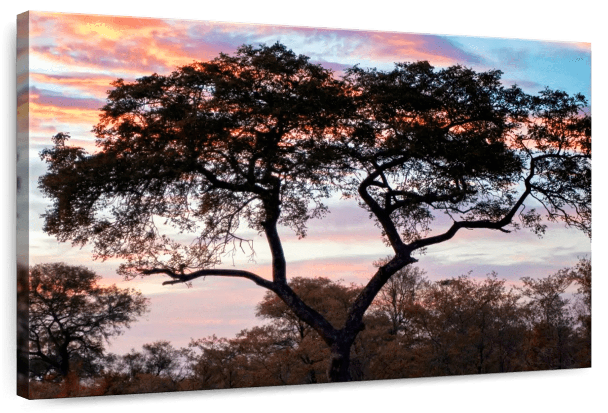 Elephant Stock African Sunset Wall Art - Horizontal Canvas Wall Art ...