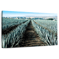 thumbnail image 1 of Elephant Stock Agave Farm Wall Art - Horizontal Canvas Wall Art - Living Room Wall Decor - Nature Canvas - Blue And Brown Decor - 12" x 8", 1 of 8