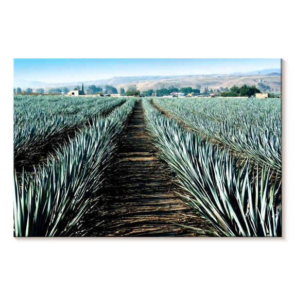 Elephant Stock Agave Farm Wall Art - Horizontal Canvas Wall Art - Living Room Wall Decor - Nature Canvas - Blue And Brown Decor - 30" x 20"