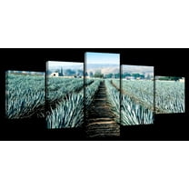 Elephant Stock Agave Farm Wall Art - Horizontal Multi Panel Canvas - 5 Pieceliving Room Wall Decor - Photography Nature Multi Panel - Blue And Brown Decor - 29" x 12"