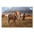 thumbnail image 1 of Elephant Stock The Amazing Icelandic Horses Wall Art - Horizontal Canvas Wall Art - Living Room Wall Decor - Animal Canvas - Gray And Brown Decor By Scott Stulberg - 30" x 20", 1 of 8