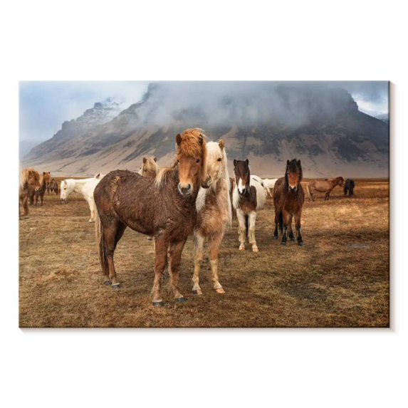 Elephant Stock The Amazing Icelandic Horses Wall Art - Horizontal Canvas Wall Art - Living Room Wall Decor - Animal Canvas - Gray And Brown Decor By Scott Stulberg - 30" x 20"