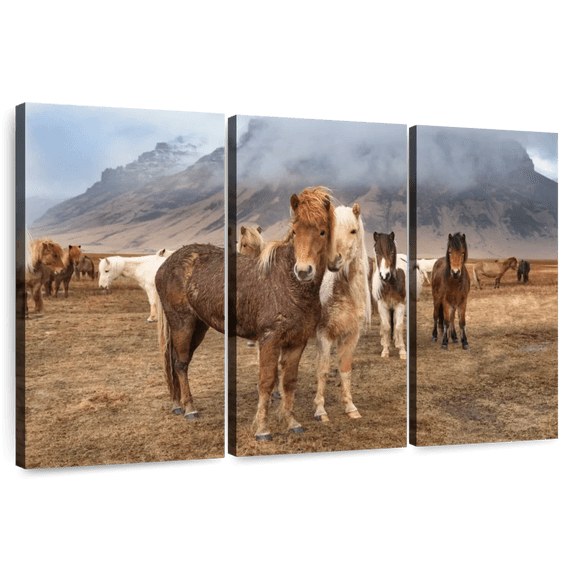 Elephant Stock The Amazing Icelandic Horses Wall Art - Horizontal Multi Panel Canvas - Living Room Wall Decor - Animal Multi Panel - Gray And Brown Decor By Scott Stulberg - 33" x 20"