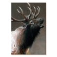 thumbnail image 1 of Elephant Stock American Icon Elk Wall Art - Vertical Canvas Wall Art - Living Room Wall Decor - Animal Canvas - Gray And Brown Decor By Kevin Daniel - 8" x 12", 1 of 4