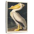 thumbnail image 1 of Elephant Stock American White Pelican From Birds Of America Wall Art - Vertical Canvas Wall Art - Living Room Wall Decor - Animal Canvas - Gray And Beige Decor By John James Audubon - 20" x 30", 1 of 8