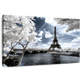 thumbnail image 1 of Elephant Stock Another Look At Paris I Wall Art - Horizontal Canvas Wall Art - Living Room Wall Decor - Photography Places Canvas - Gray And Bluedecor By Philippe Hugonnard - 12" x 8", 1 of 8