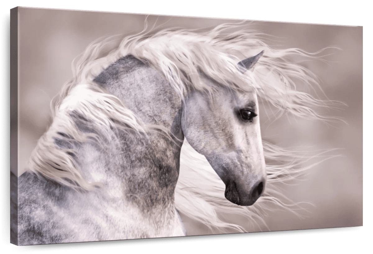 Elephant Stock Arabian Dapple Grey Horse Wall Art Horizontal Canvas
