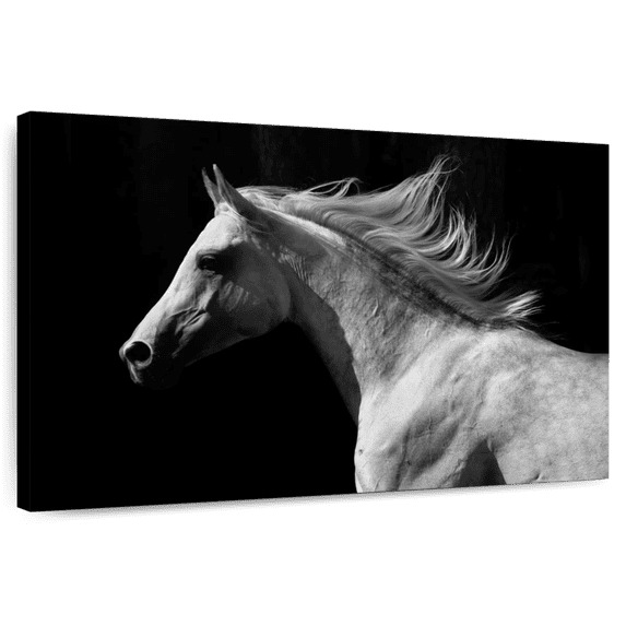 Elephant Stock Arabian Horse Wall Art - Horizontal Canvas Wall Art - Living Room Wall Decor - Photography Animal Canvas - Black And White Decor - 51" x 34"