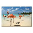 thumbnail image 1 of Elephant Stock Aruba Beach Pink Flamingos Wall Art - Horizontal Canvas Wall Art - Living Room Wall Decor - Animal Canvas - Blue And Beige Decor - 30" x 20", 1 of 4