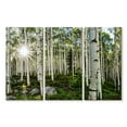 thumbnail image 1 of Elephant Stock Aspen Forest Sunburst Wall Art - Horizontal Multi Panel Canvas - Living Room Wall Decor - Floral And Botanical Multi Panel - Gray And Green Decor - 57" x 36", 1 of 4