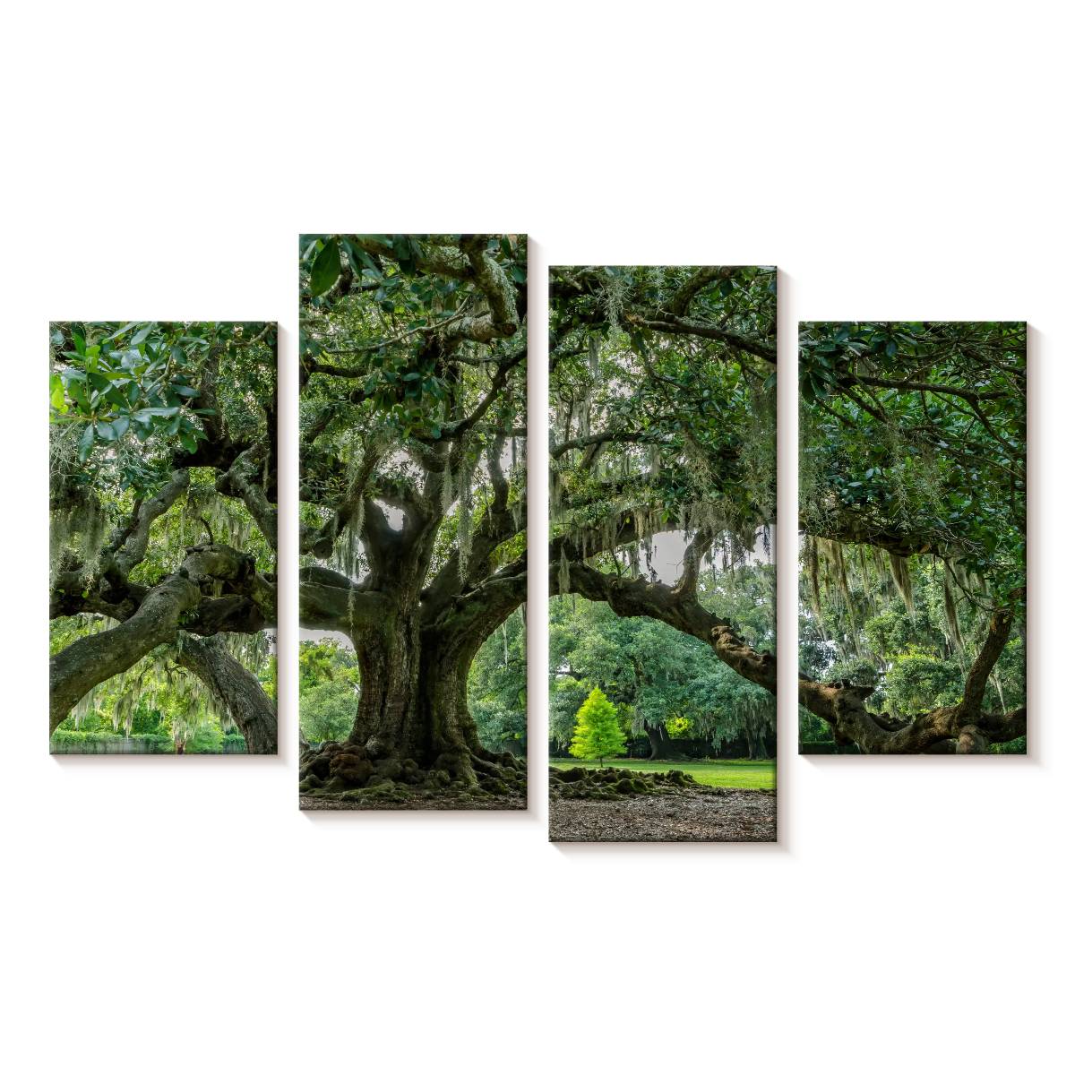Elephant Stock Audubon Park Oak Tree Wall Art - Horizontal Multi Panel ...