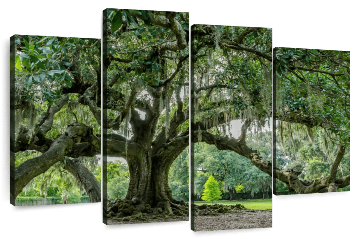 Elephant Stock Audubon Park Oak Tree Wall Art - Horizontal Multi Panel ...