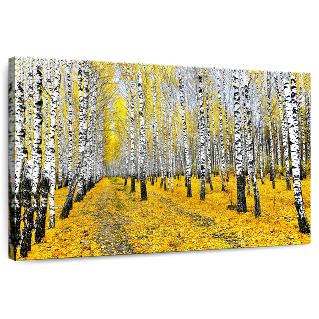 Elephant Stock Autumn Birch Forest Trees Wall Art Horizontal Canvas
