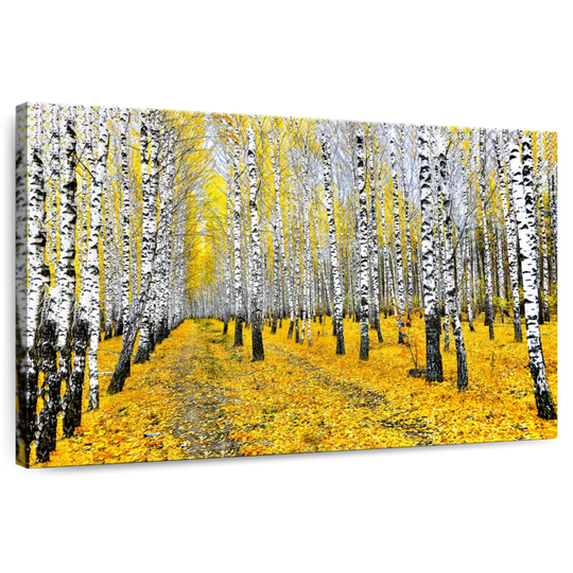 Elephant Stock Autumn Birch Forest Trees Wall Art - Horizontal Canvas Wall Art - Living Room Wall Decor - Nature Canvas - Yellow And Black Decor - 48" x 32"