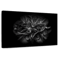 thumbnail image 1 of Elephant Stock Backyard Flowers Bw Iii Wall Art - Horizontal Canvas Wall Art - Living Room Wall Decor - Floral And Botanical Canvas - Black And Gray Decor By Brian Carson - 45" x 30", 1 of 8