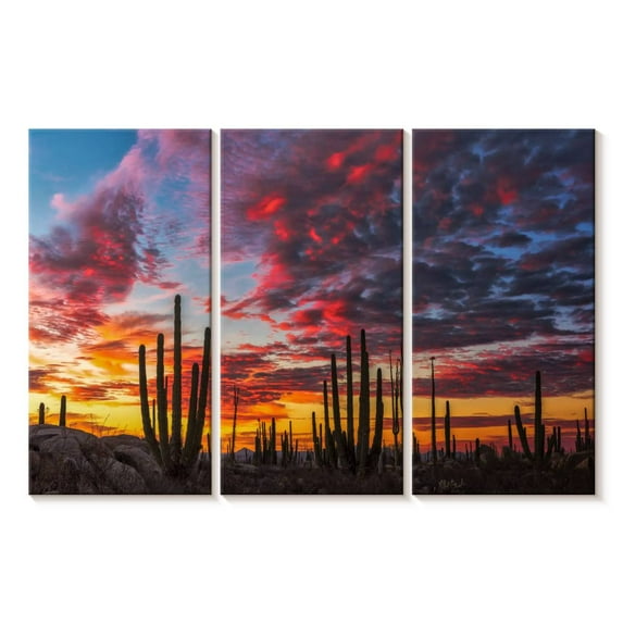 Elephant Stock Baja California Cactus Forest Wall Art - Horizontal Multi Panel Canvas - Living Room Wall Decor - Nature Multi Panel - Blue And Orange Decor By Christian Heeb - 65" x 42"