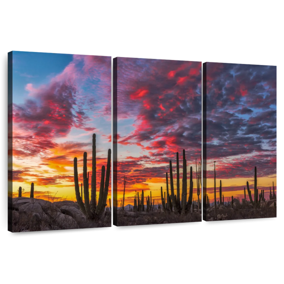 Elephant Stock Baja California Cactus Forest Wall Art - Horizontal Multi Panel Canvas - Living Room Wall Decor - Nature Multi Panel - Blue And Orange Decor By Christian Heeb - 57" x 36"