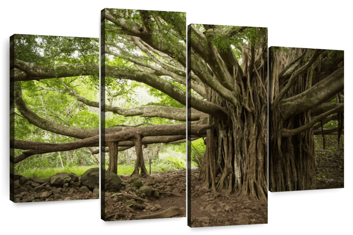 Elephant Stock Banyan Tree Wall Art - Horizontal Multi Panel Canvas ...