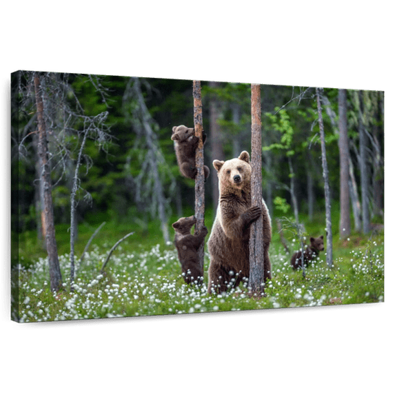 Elephant Stock Bears In Forest Wall Art - Horizontal Canvas Wall Art - Living Room Wall Decor - Animal Canvas - Green And Brown Decor - 30" x 20"