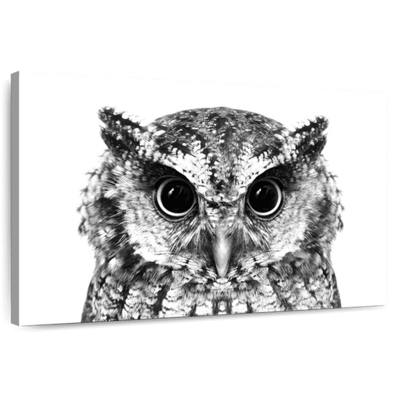 Elephant Stock Bewitching Owl Wall Art - Horizontal Canvas Wall Art - Living Room Wall Decor - Animal Canvas - Black And Gray Decor - 12" x 8"