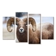thumbnail image 1 of Elephant Stock Bighorn Sheep Wall Art - Horizontal Multi Panel Canvas - Living Room Wall Decor - Animal Multi Panel - Brown And White Decor - 24" x 14", 1 of 4