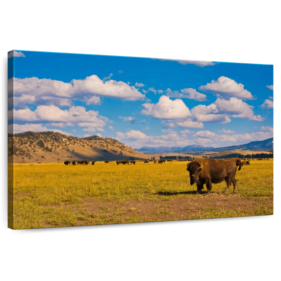 Elephant Stock Bison In National Park Wall Art - Horizontal Canvas Wall Art - Living Room Wall Decor - Animal Canvas - Brown And Blue Decor - 12" x 8"
