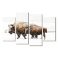 thumbnail image 1 of Elephant Stock Bison In Yellowstone National Park Wall Art - Horizontal Multi Panel Canvas - Living Room Wall Decor - Animal Multi Panel - White And Gray Decor - 30" x 18", 1 of 4