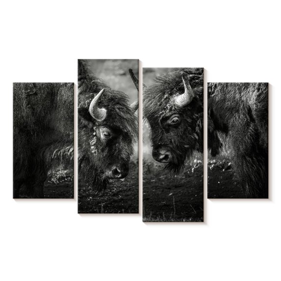 Elephant Stock Bisons Head To Head Wall Art - Horizontal Multi Panel Canvas - Living Room Wall Decor - Animal Multi Panel - Black And White Decor - 36" x 22"