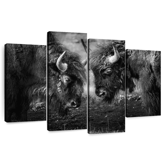Elephant Stock Bisons Head To Head Wall Art - Horizontal Multi Panel Canvas - Living Room Wall Decor - Animal Multi Panel - Black And White Decor - 84" x 54"