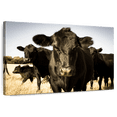 thumbnail image 1 of Elephant Stock Black Angus Cattle Wall Art - Horizontal Canvas Wall Art - Living Room Wall Decor - Animal Canvas - Beige And Black Decor - 12" x 8", 1 of 8