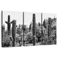 thumbnail image 1 of Elephant Stock Black Arizona - Amazing Cactus I Wall Art - Living Room Wall Decor - Floral And Botanical Multi Panel - Gray And Black Decor By Philippe Hugonnard - 57" x 36", 1 of 8