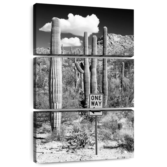 Elephant Stock Black Arizona - Cactus One Way Wall Art - Living Room Wall Decor - Floral And Botanical Multi Panel - Gray And Black Decor By Philippe Hugonnard - 48" x 74"